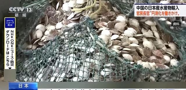 中日2200个航班被叫停，高市早苗未料到，中国尚有后续举措