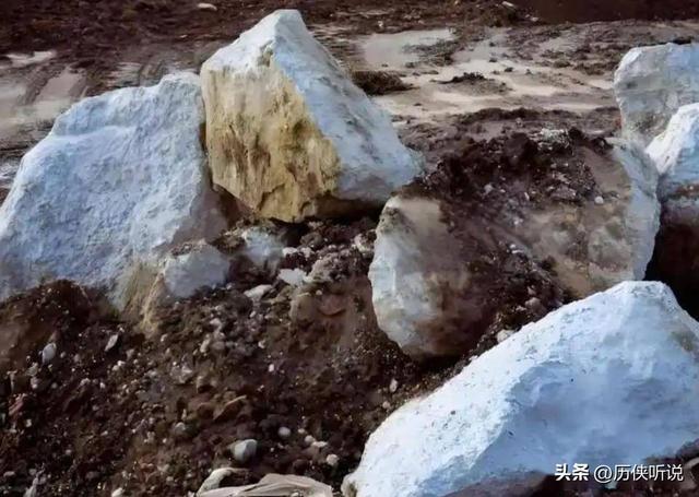 德国到底想干嘛？一边叫停中企收购芯片厂，一边却靠中国稀土救命
