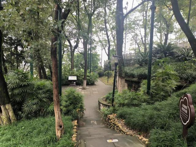 冬韵高坪画卷展 文旅地标+焕新公园引客来