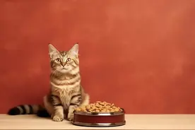 高端猫粮口碑报告：皇家适口性天花板，爱肯拿美毛效果佳图片