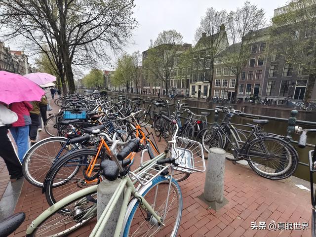 感受欧洲11：爱骑自行车，构成两轮上的绿色风景​