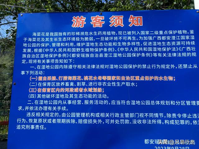 2025年广西百色、河池、崇左自驾游（五）