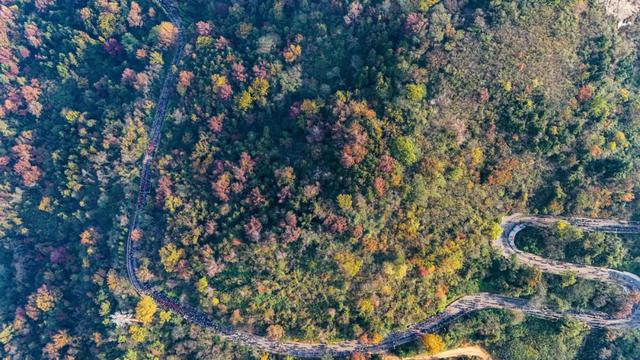 今天,万人齐聚木兰山!