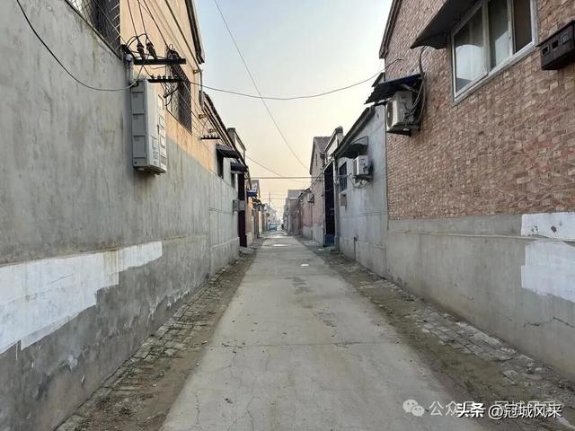 冠县乡韵·清水镇后井寨村