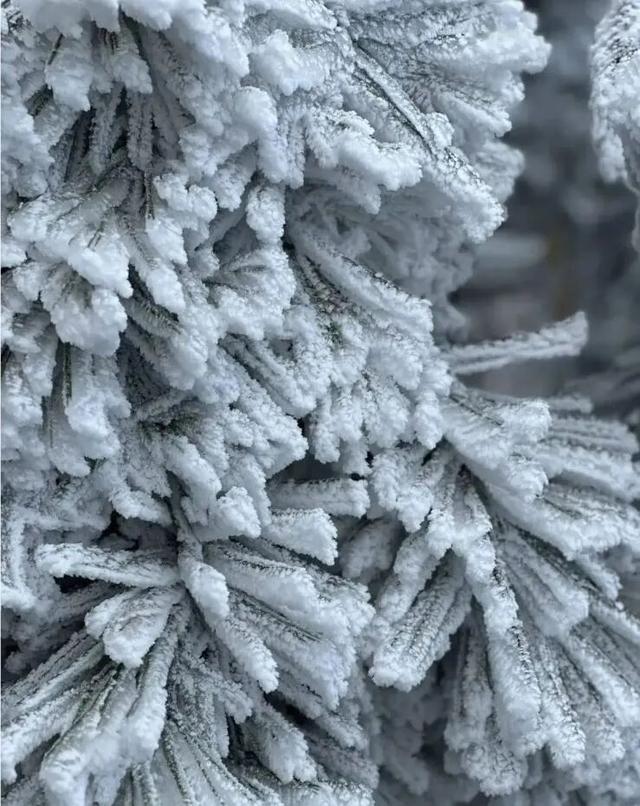 山区-4~-6°C，什么？浙江未来7天，居然还有3波冷空气……