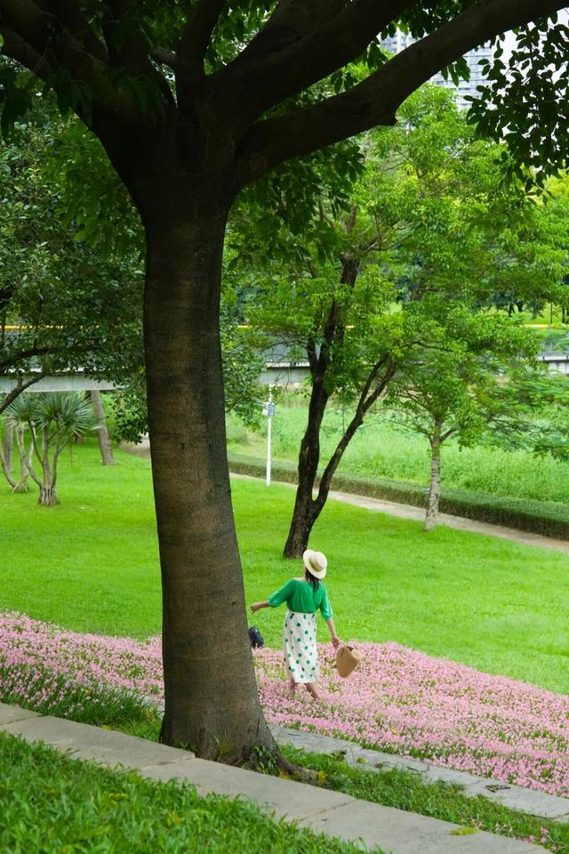 免费！这片3000㎡粉色花海开了，少女心都要溢出来了！