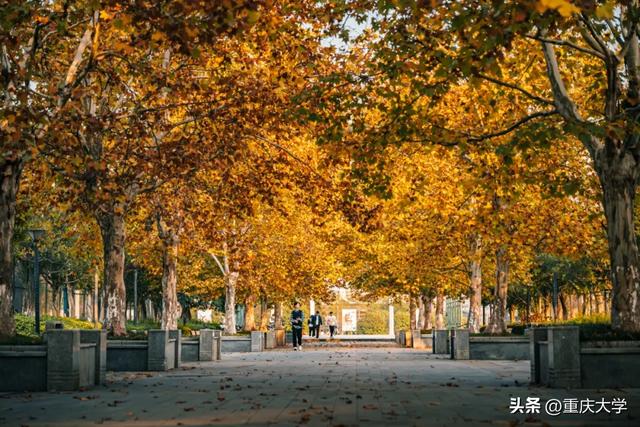 重大限定皮肤上新,超出片!🤳