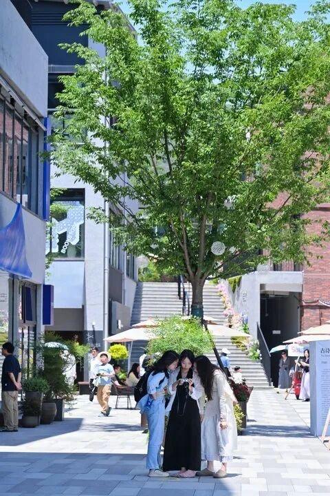 莫干山的文旅新实践，山野里长出了新日常