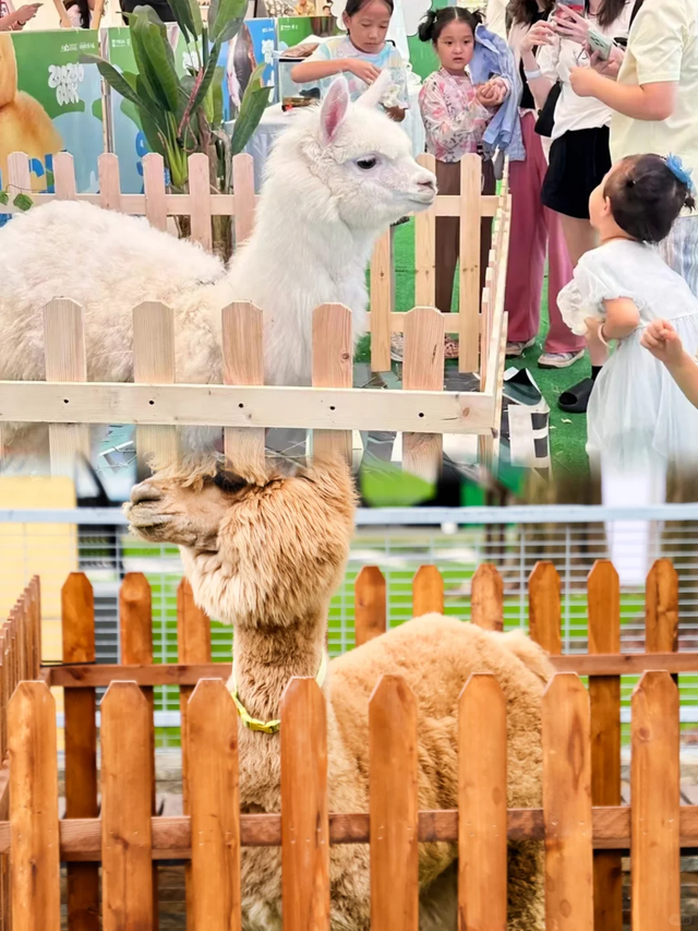 琼海元旦“嗨玩指南”来啦！