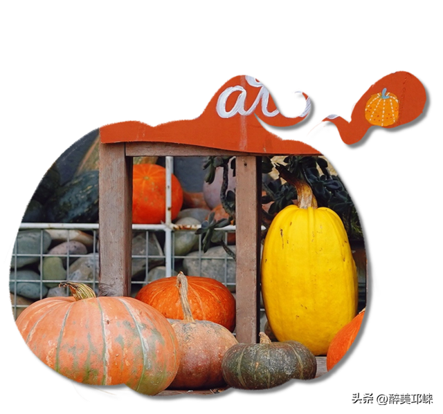 听劝！深秋一定要来邛崃这个“南瓜”露营地，太出片了！