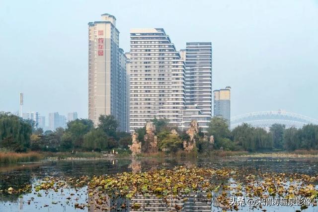 陕西渭南：人民公园银杏林色彩纷呈 祥和美丽 秋色宜人