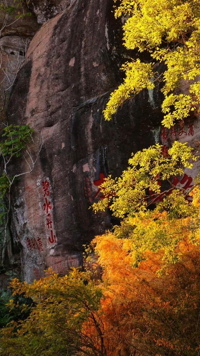 武夷山 | 我就说，这才是过日子~