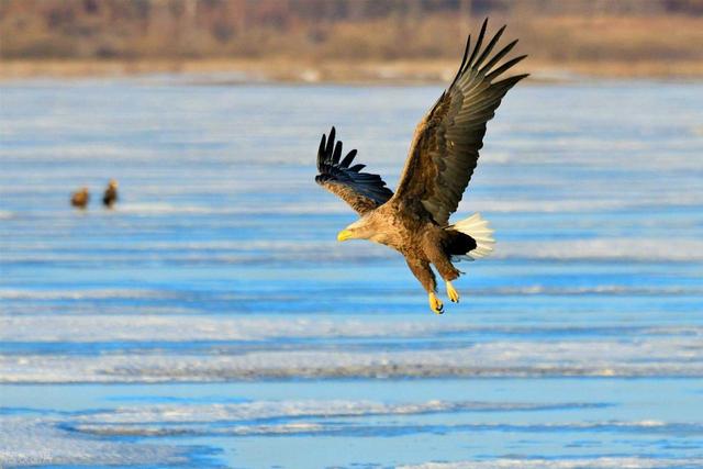 小城珲春入境游再升温