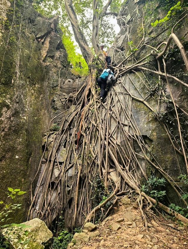 厦门东坪山蟒蛇壁，据说有人在此见过一大蟒蛇，大概名字由此而来