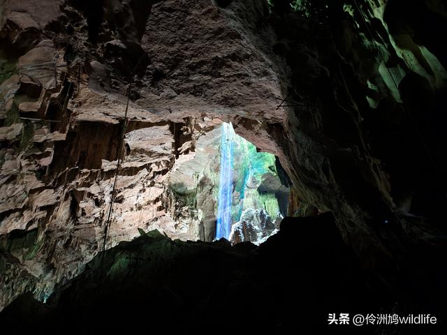 马来西亚(32)砂拉越州⑥世界遗产尼亚洞窟探险