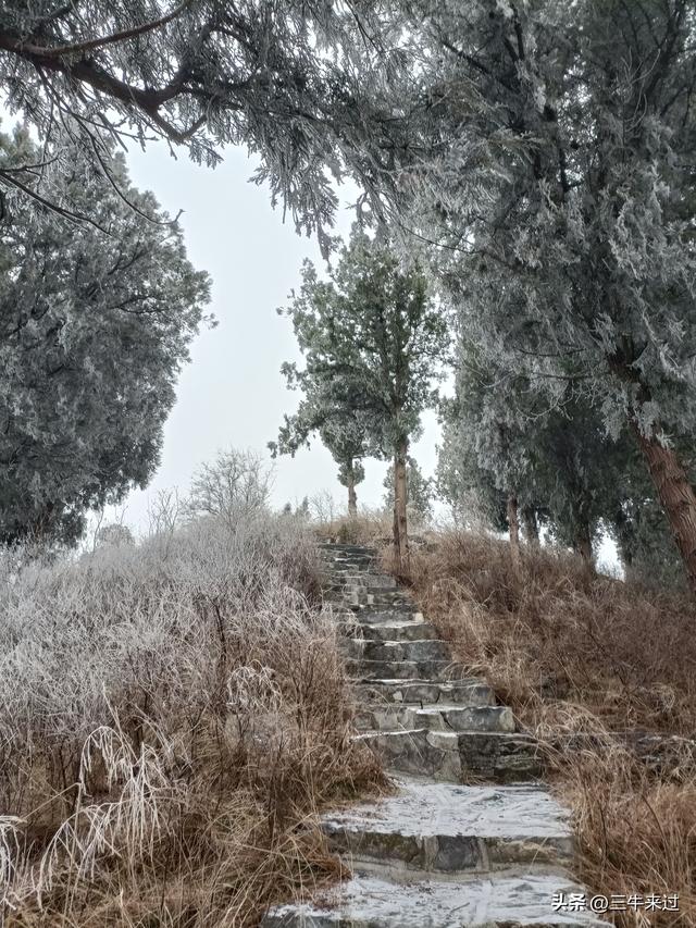 无为在歧路，何处寻雾凇