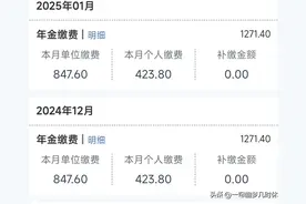 事业单位，怎么查询自己的职业年金？图片