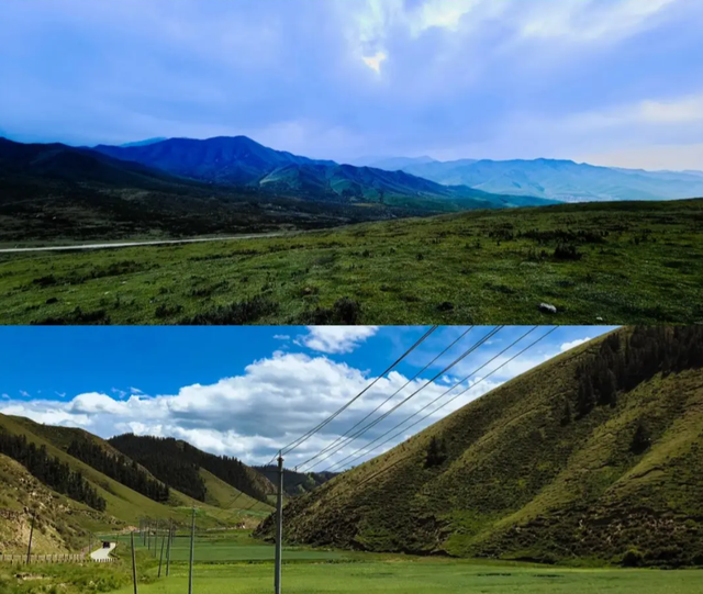 高山草甸、绿意盎然，武威有自己的“呼伦贝尔”大草原！
