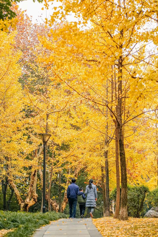 今日大雪 | 打卡这里,定格冬日专属美照