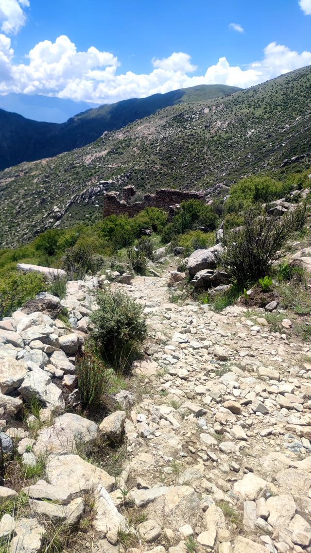 爬拉萨哲蚌寺后山，从海拔3600米到山顶5300米，上下20公里