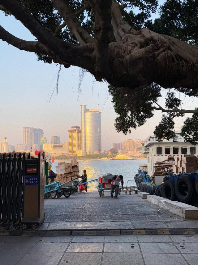 适合暑假亲子游的8个地方，高铁直达，无需攻略，说走就走！！