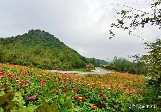 疆藏云贵行99，彝山花谷