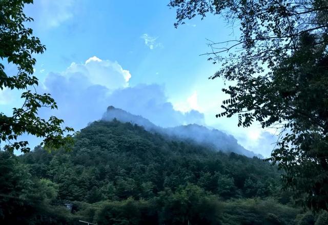 广元曾家山何家大院：林海深处的清凉桃源 揽获全国避暑名山美誉