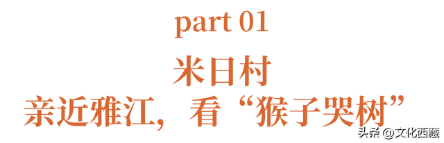 美到心颤！墨脱这几个沿江村落，串联起西藏绝景！