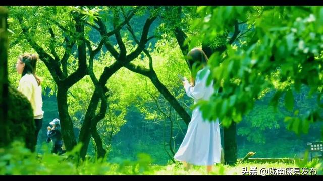 阳坝镇：在这片秘境里 邂逅文旅康养的诗意