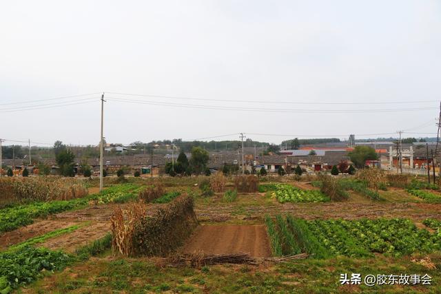 组图：牟平区莒格庄镇“福禄地”村掠影
