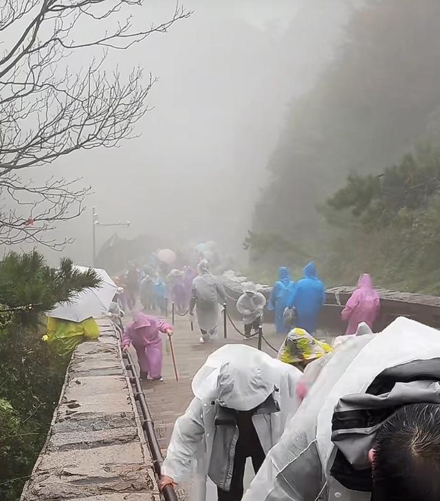国庆山东爆火！不是网红胜网红，这波热闹藏着真门道