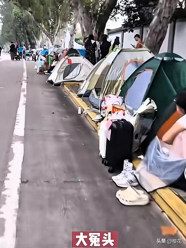 国庆帐篷革命：年轻人拒绝“酒店刺客”，草地上长出的消费主权！