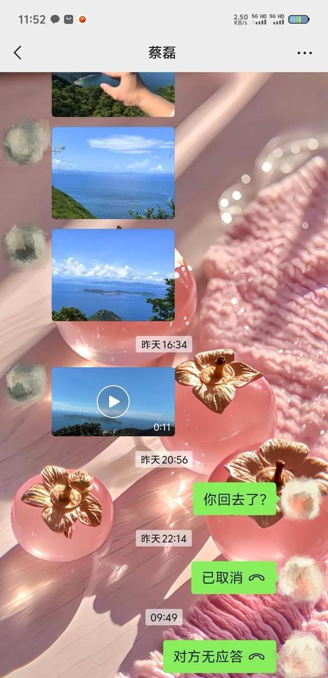 27岁蔡磊已找到！曝现场惨不忍睹，尸体身首分离，哥哥发声引争议