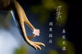 老了重病缠身，大多是做了这几件事，皆是因果报应图片