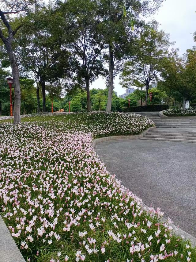 川渝再行记之二十四 眉山篇之二十三 东坡湿地公园（1）