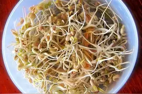 2月大量上市！是长寿菜、降脂菜，帮助养肝、升发阳气，别错过~图片