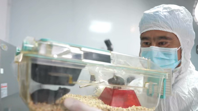 神舟二十一号出征！美媒狂飙式转发，这是中国实力，太空母港来了