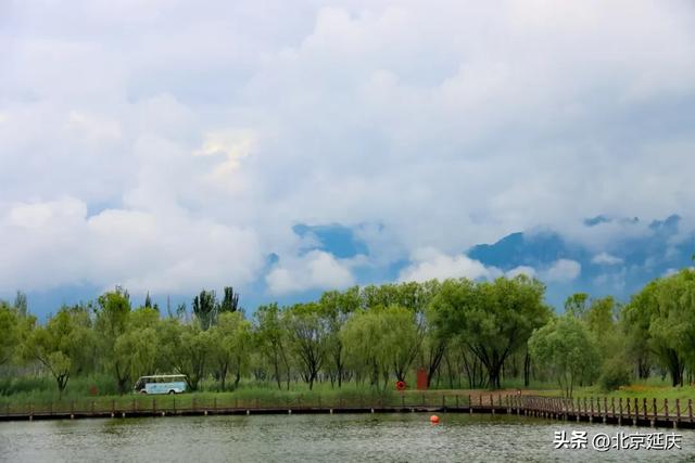 雨后延庆,氛围感MAX——
