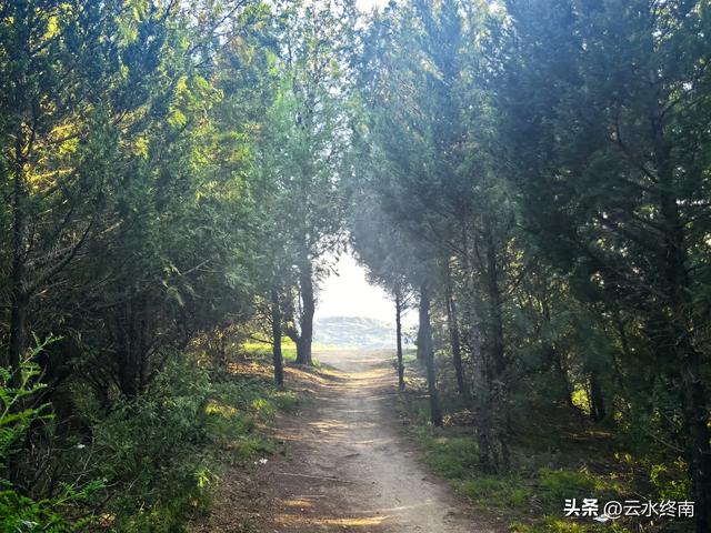 开车直上山顶，蓝田最佳纳凉吹风观山景的地方，看落日夕阳，真美