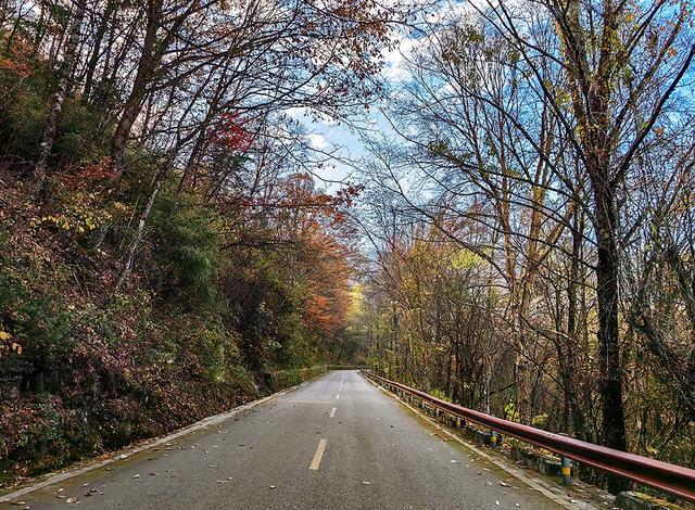 2024深秋四川行19 神农架风景区2 华中屋脊的五彩秘境