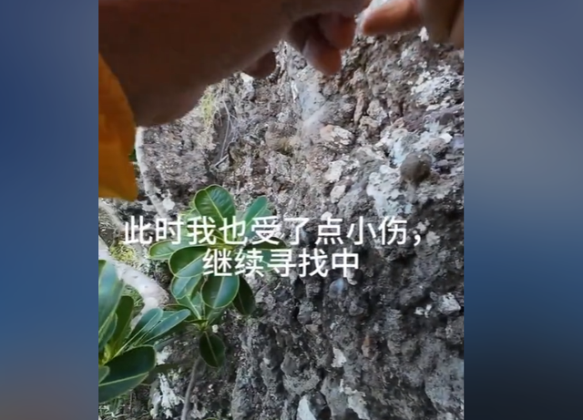陕西大哥回应国外冒险搜救坠崖游客：作为中国人做不到见死不救！
