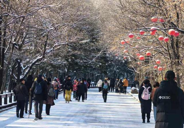 千山初雪上线 游客扎堆打卡