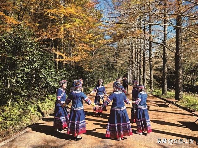 红燃翠岭绿铸魂 大茅山奏响千年交响