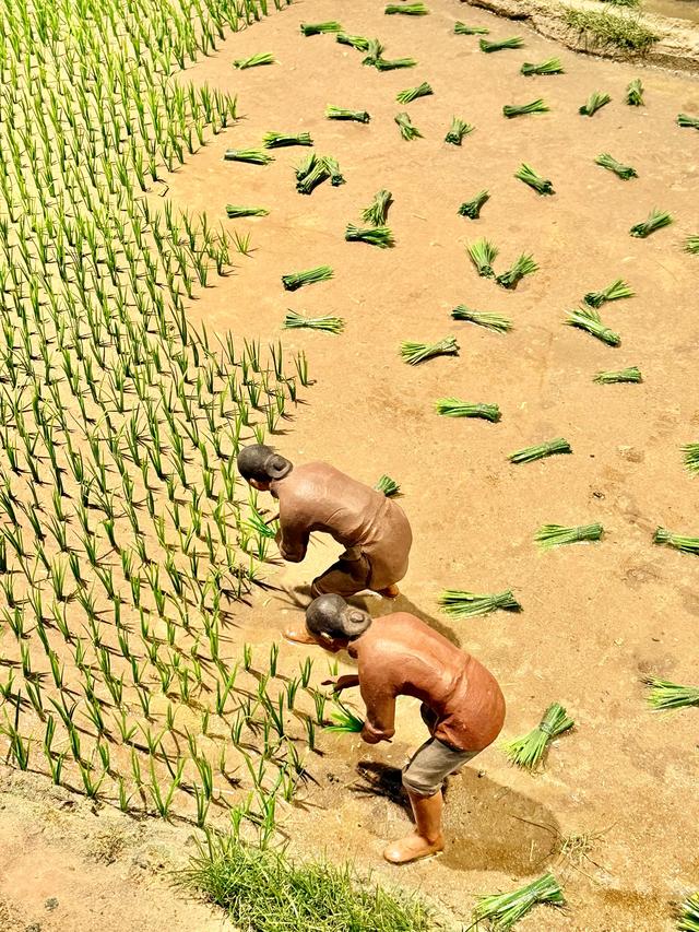 烟火高邮（高邮博物馆）