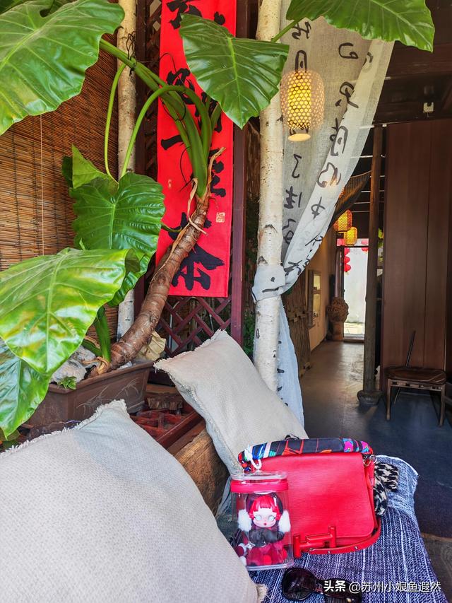 人少景美！2025年末打卡苏州震泽古镇，吃喝玩乐、打卡机位全攻略