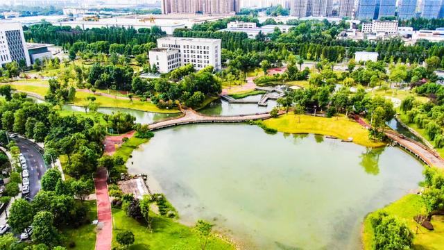 金秋双节游郫都丨3条主题线路,沉浸式感受“古蜀之都、天府之源”风采!