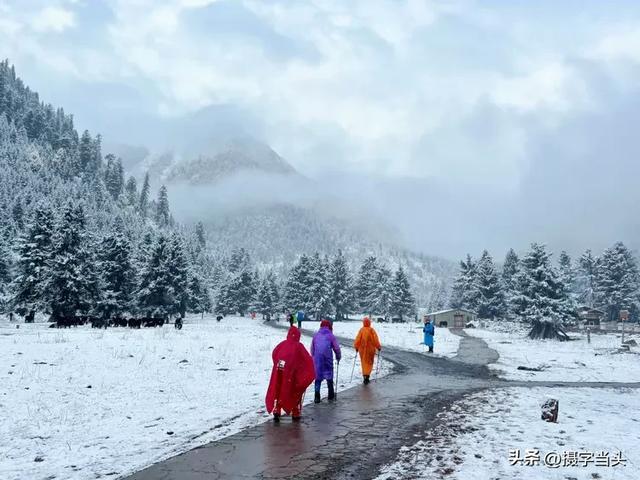 甲依拉措 :一场白雪与彩林的盛宴