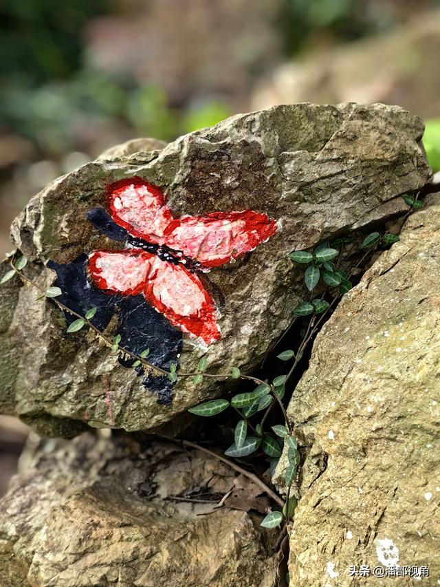 登无锡吼山，观沿途风景