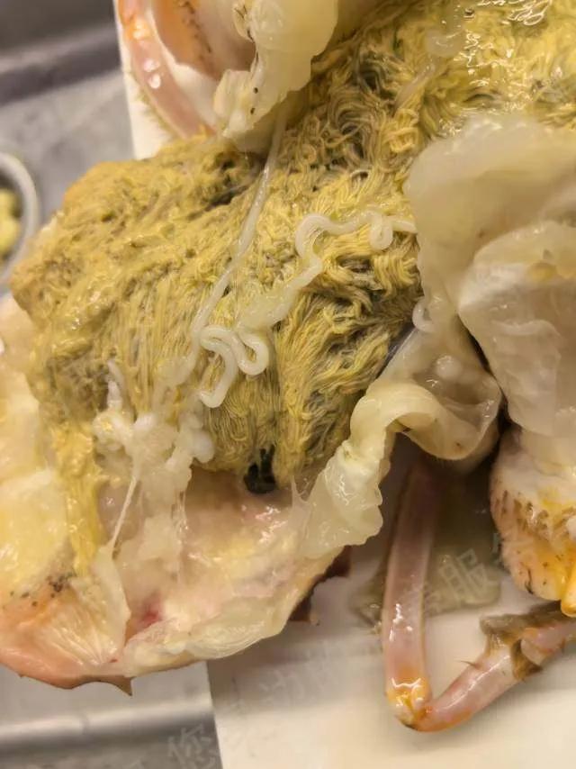 深扒！盒马X会员店倒闭的真相！你的258元会员费还要得回来吗？