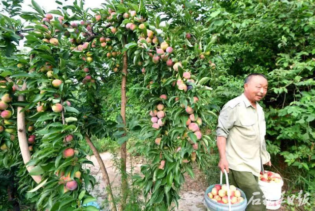 河北旅游，元氏县十一游玩全攻略：古风新韵，动感随心